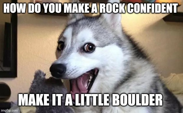 How do you make a rock bigger | HOW DO YOU MAKE A ROCK CONFIDENT; MAKE IT A LITTLE BOULDER | image tagged in pun dog - husky | made w/ Imgflip meme maker