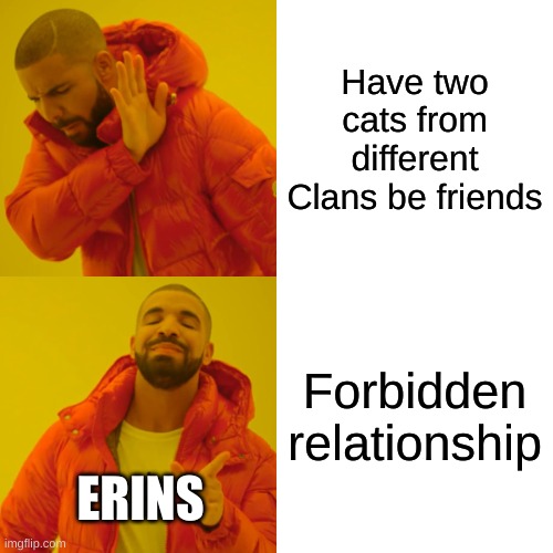 Drake Hotline Bling |  Have two cats from different Clans be friends; Forbidden relationship; ERINS | image tagged in memes,drake hotline bling,warrior cats,warrior cats meme | made w/ Imgflip meme maker
