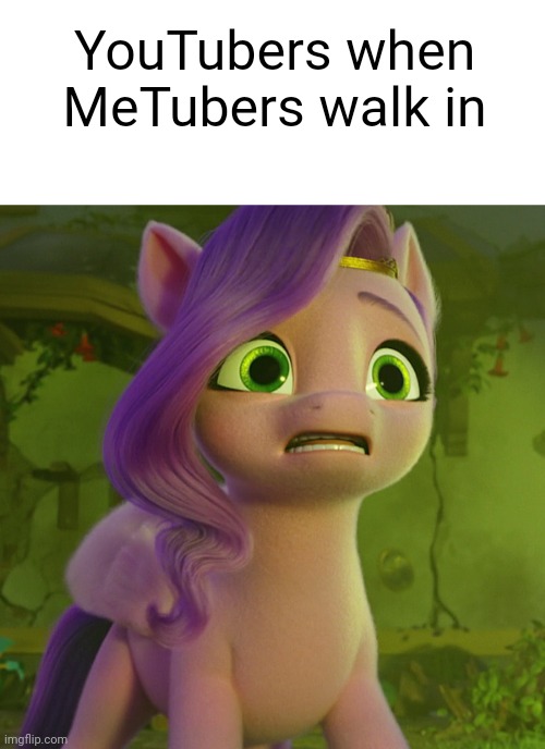 Mlp Pipp Petals | YouTubers when MeTubers walk in | image tagged in blank white template,my little pony,x when x walks in | made w/ Imgflip meme maker