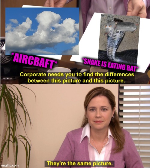 -Feeding for predator. | *AIRCRAFT*; *SNAKE IS EATING RAT* | image tagged in memes,they're the same picture,solid snake,rats,don't feed the trolls,totally looks like | made w/ Imgflip meme maker