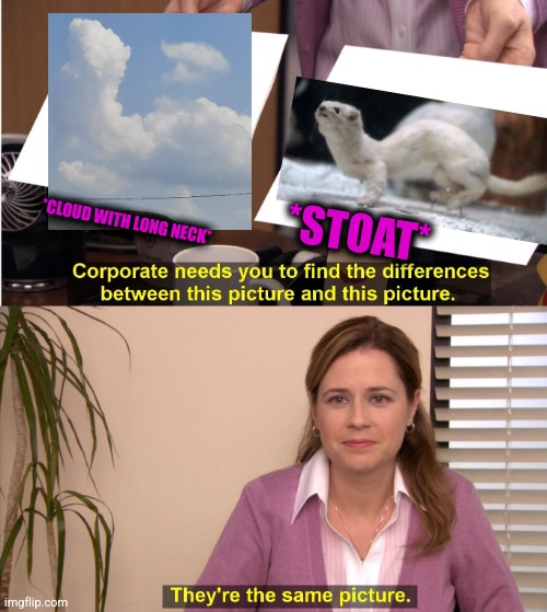 -Higher mountains. | *STOAT*; *CLOUD WITH LONG NECK* | image tagged in memes,they're the same picture,mr beast,white privilege,mountain dew,totally looks like | made w/ Imgflip meme maker