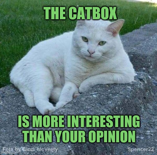 Smell it? | THE CATBOX; IS MORE INTERESTING THAN YOUR OPINION | image tagged in feta,opinion,unpopular opinion,litter box,smelly,the rock smelling | made w/ Imgflip meme maker