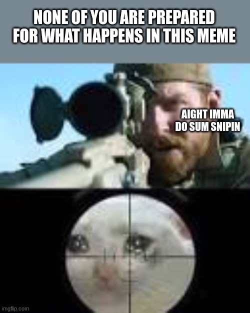 sheeeeeeeeeeeeeeeeeeeeeeeeeeeeeeeeeeeeeeeeeeeeeeeeeeeeeeeeeeeeesh | NONE OF YOU ARE PREPARED FOR WHAT HAPPENS IN THIS MEME; AIGHT IMMA DO SUM SNIPIN | image tagged in chris kyle sniper cat meme,my own meme template,oh god not the cat | made w/ Imgflip meme maker