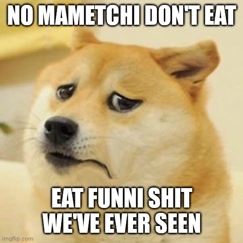 unhappy worried doge | NO MAMETCHI DON'T EAT EAT FUNNI SHIT WE'VE EVER SEEN | image tagged in unhappy worried doge | made w/ Imgflip meme maker
