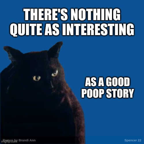 Contemplation Cat | THERE'S NOTHING QUITE AS INTERESTING; AS A GOOD POOP STORY | image tagged in contemplation cat,poop,people who don't know vs people who know,cool story bro,incontinence | made w/ Imgflip meme maker