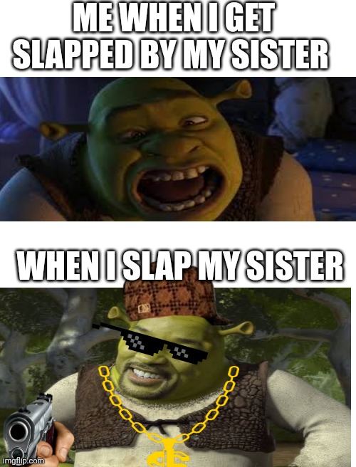 Blank White Template | ME WHEN I GET SLAPPED BY MY SISTER; WHEN I SLAP MY SISTER | image tagged in blank white template | made w/ Imgflip meme maker