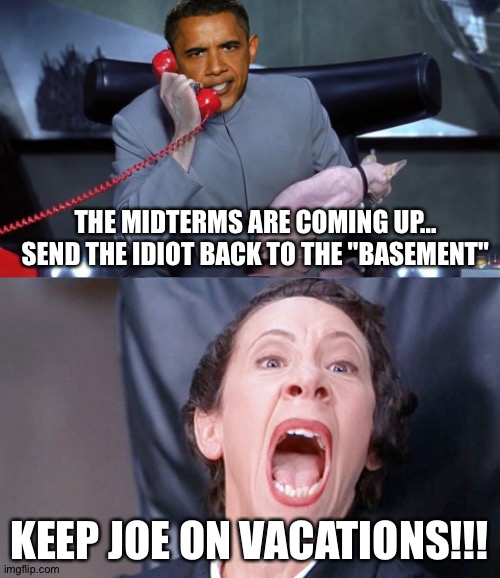 THE MIDTERMS ARE COMING UP... SEND THE IDIOT BACK TO THE "BASEMENT"; KEEP JOE ON VACATIONS!!! | made w/ Imgflip meme maker