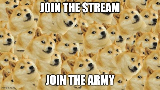 Multi Doge Meme | JOIN THE STREAM; JOIN THE ARMY | image tagged in memes,multi doge | made w/ Imgflip meme maker