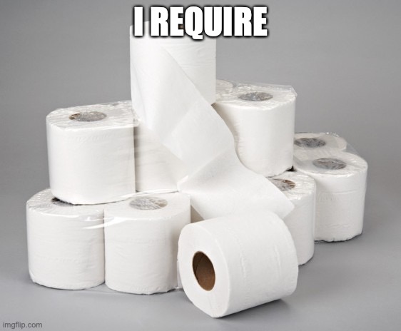 toilet paper | I REQUIRE | image tagged in toilet paper | made w/ Imgflip meme maker