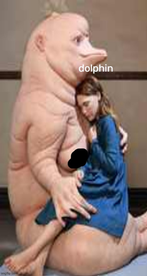 dolphin | made w/ Imgflip meme maker