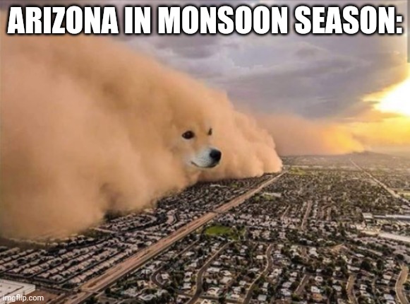 I live In Arizona i know this | ARIZONA IN MONSOON SEASON: | image tagged in dust doge storm | made w/ Imgflip meme maker