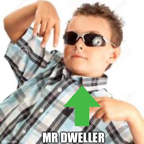 Cool kid sunglasses | MR DWELLER | image tagged in cool kid sunglasses | made w/ Imgflip meme maker