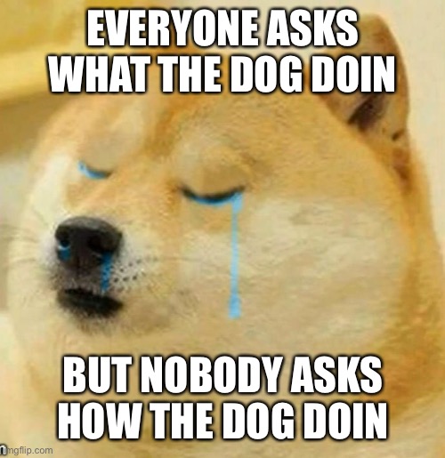 What the dog doin | EVERYONE ASKS WHAT THE DOG DOIN; BUT NOBODY ASKS HOW THE DOG DOIN | image tagged in sad doge,what the dog doin | made w/ Imgflip meme maker