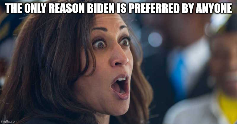 Kamala is the threat | THE ONLY REASON BIDEN IS PREFERRED BY ANYONE | image tagged in kamala harriss | made w/ Imgflip meme maker