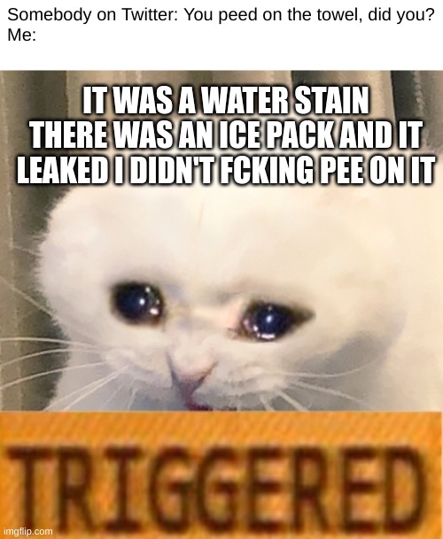 e | Somebody on Twitter: You peed on the towel, did you?
Me:; IT WAS A WATER STAIN THERE WAS AN ICE PACK AND IT LEAKED I DIDN'T FCKING PEE ON IT | image tagged in screaming crying cat | made w/ Imgflip meme maker