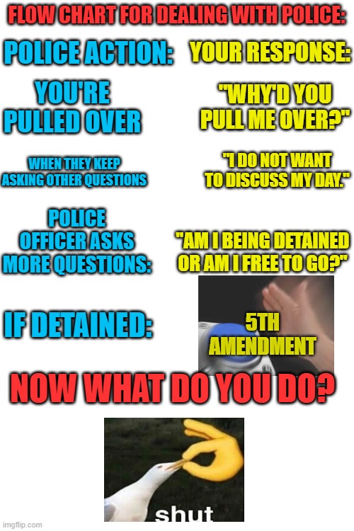 They fish for things to pin you with. I didn't believe at first. | POLICE ACTION:; FLOW CHART FOR DEALING WITH POLICE:; YOUR RESPONSE:; "WHY'D YOU PULL ME OVER?"; YOU'RE PULLED OVER; "I DO NOT WANT TO DISCUSS MY DAY."; WHEN THEY KEEP ASKING OTHER QUESTIONS; POLICE OFFICER ASKS MORE QUESTIONS:; "AM I BEING DETAINED OR AM I FREE TO GO?"; IF DETAINED:; 5TH AMENDMENT; NOW WHAT DO YOU DO? | image tagged in blank white template,acab,corruption,corporate,government,police | made w/ Imgflip meme maker