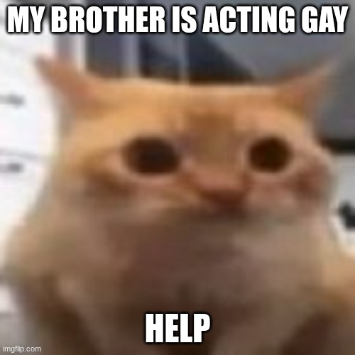 help mii | MY BROTHER IS ACTING GAY; HELP | image tagged in spoingus | made w/ Imgflip meme maker