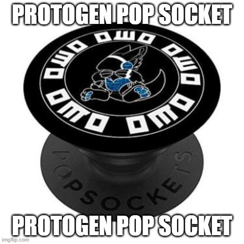 My mom bought me this, link in comments | PROTOGEN POP SOCKET; PROTOGEN POP SOCKET | image tagged in protogen | made w/ Imgflip meme maker