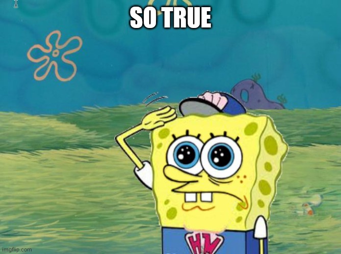 Spongebob salute | SO TRUE | image tagged in spongebob salute | made w/ Imgflip meme maker