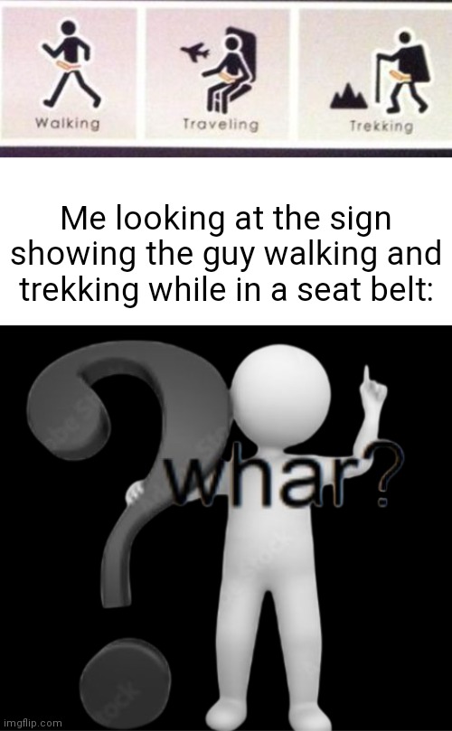 Seat belt | Me looking at the sign showing the guy walking and trekking while in a seat belt: | image tagged in whar,you had one job,seat belt,memes,fail,funny signs | made w/ Imgflip meme maker