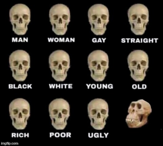 idiot skull | image tagged in idiot skull | made w/ Imgflip meme maker