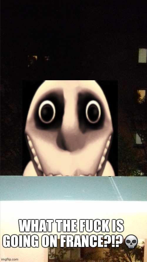 what the fuck is going on in France right now I live in France btw | WHAT THE FUCK IS GOING ON FRANCE?!?💀 | image tagged in balcony | made w/ Imgflip meme maker