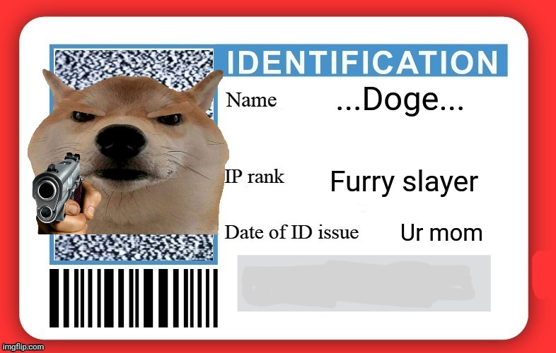 Me | ...Doge... Furry slayer; Ur mom | image tagged in dmv id card | made w/ Imgflip meme maker