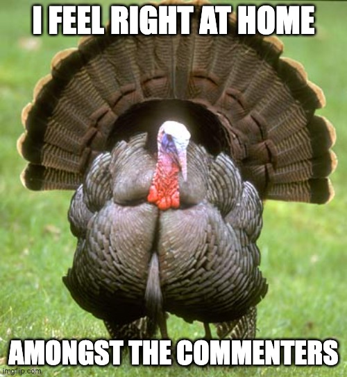 Turkey Meme | I FEEL RIGHT AT HOME; AMONGST THE COMMENTERS | image tagged in memes,turkey | made w/ Imgflip meme maker