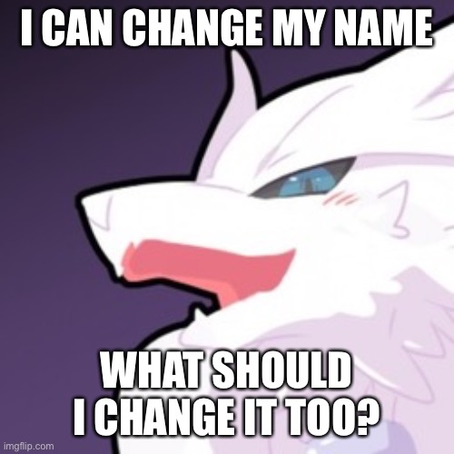 I’ve had some terrible luck this year, let’s see if your funny suggestions cheer me up | I CAN CHANGE MY NAME; WHAT SHOULD I CHANGE IT TOO? | made w/ Imgflip meme maker