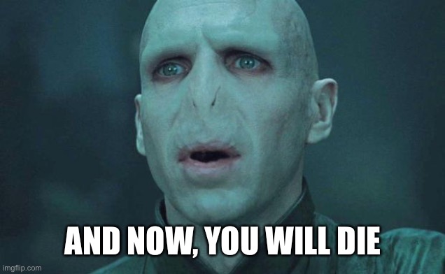 Voldemort | AND NOW, YOU WILL DIE | image tagged in voldemort | made w/ Imgflip meme maker