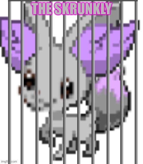 THE SKRUNKLY | made w/ Imgflip meme maker