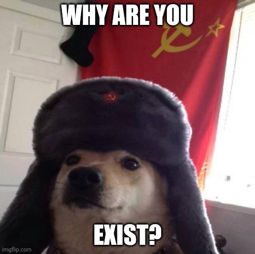 Russian Doge |  WHY ARE YOU; EXIST? | image tagged in russian doge | made w/ Imgflip meme maker