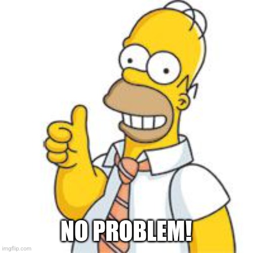 homer no problemo | NO PROBLEM! | image tagged in homer no problemo | made w/ Imgflip meme maker