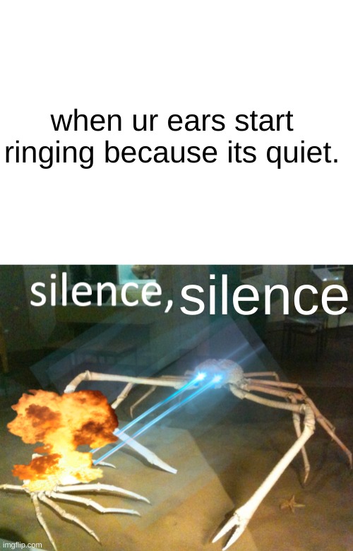 when ur ears start ringing because its quiet. silence | image tagged in blank white template,silence crab | made w/ Imgflip meme maker