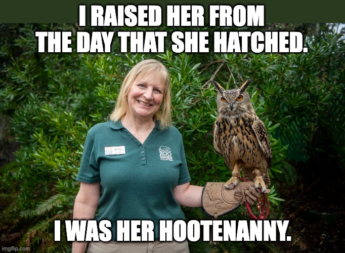 Owl | I RAISED HER FROM THE DAY THAT SHE HATCHED. I WAS HER HOOTENANNY. | image tagged in bad pun | made w/ Imgflip meme maker