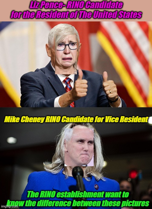 My favorite RINOs. When expereince matters, they have the experience to know how to lose bigly. | Liz Pence- RINO Candidate for the Resident of The United States; Mike Cheney RINO Candidate for Vice Resident; The RINO establishment want to know the difference between these pictures | image tagged in mike pence for president,liz cheney | made w/ Imgflip meme maker