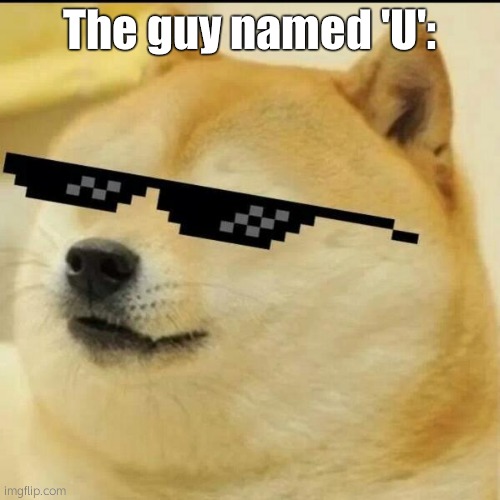 Sunglass Doge | The guy named 'U': | image tagged in sunglass doge | made w/ Imgflip meme maker