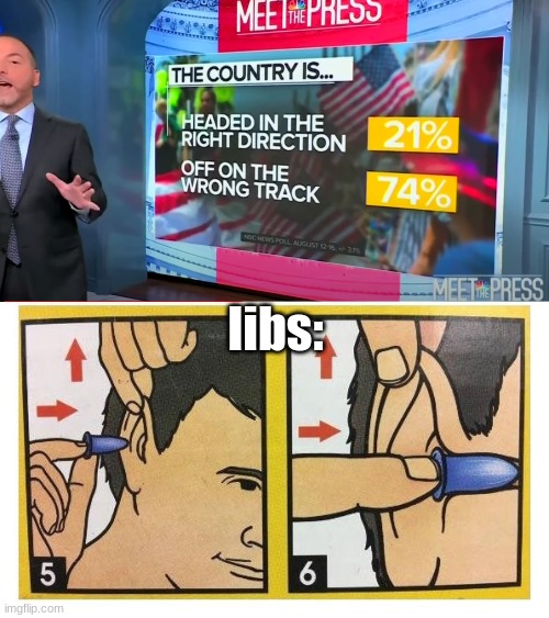 Either we're right, or 75% of the country can't believe their lying eyes. | libs: | image tagged in ear plugs,lying eyes | made w/ Imgflip meme maker