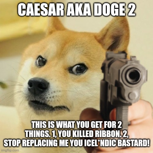 Doge holding a gun | CAESAR AKA DOGE 2 THIS IS WHAT YOU GET FOR 2 THINGS. 1, YOU KILLED RIBBON. 2, STOP REPLACING ME YOU ICEL*NDIC BASTARD! | image tagged in doge holding a gun | made w/ Imgflip meme maker