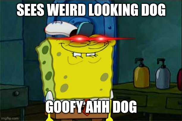 Goofy ahhh dog | SEES WEIRD LOOKING DOG; GOOFY AHH DOG | image tagged in memes,don't you squidward | made w/ Imgflip meme maker