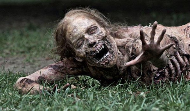 Walking Dead Zombie | image tagged in walking dead zombie | made w/ Imgflip meme maker