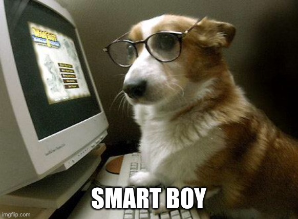 Smart Dog | SMART BOY | image tagged in smart dog | made w/ Imgflip meme maker