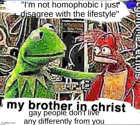My brother in Christ | "I'm not homophobic i just disagree with the lifestyle"; gay people don't live any differently from you | image tagged in my brother in christ | made w/ Imgflip meme maker