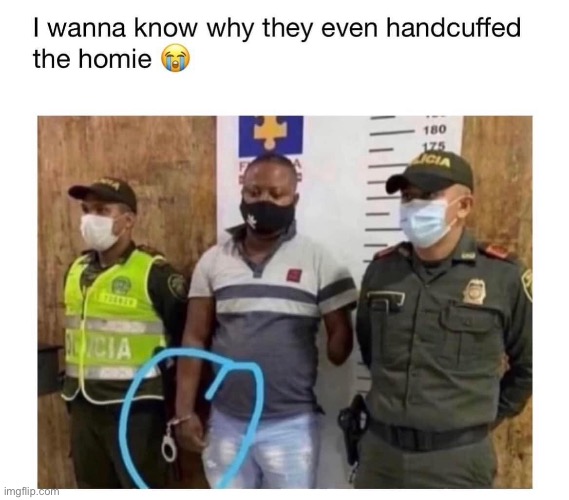Just why | image tagged in handcuffs,homie,you had one job | made w/ Imgflip meme maker