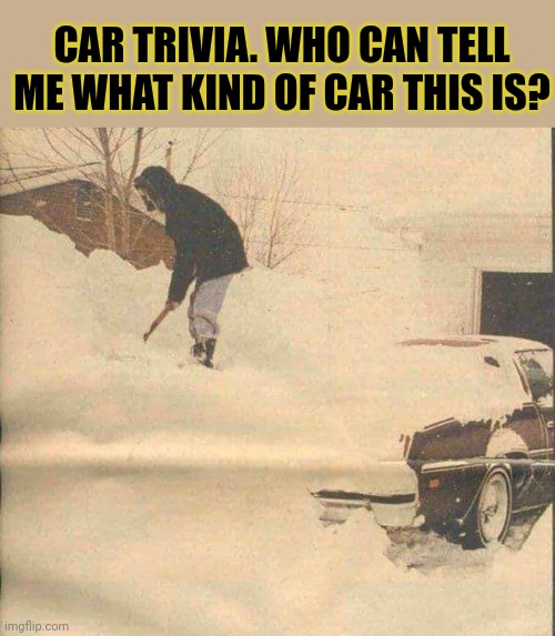 Well? | CAR TRIVIA. WHO CAN TELL ME WHAT KIND OF CAR THIS IS? | image tagged in cars,trivia crack,intelligence | made w/ Imgflip meme maker