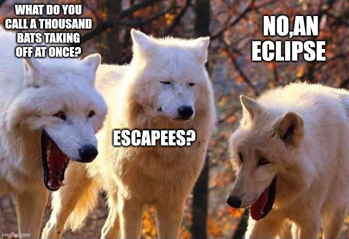 Laughing wolf | WHAT DO YOU CALL A THOUSAND BATS TAKING OFF AT ONCE? NO,AN ECLIPSE; ESCAPEES? | image tagged in laughing wolf | made w/ Imgflip meme maker