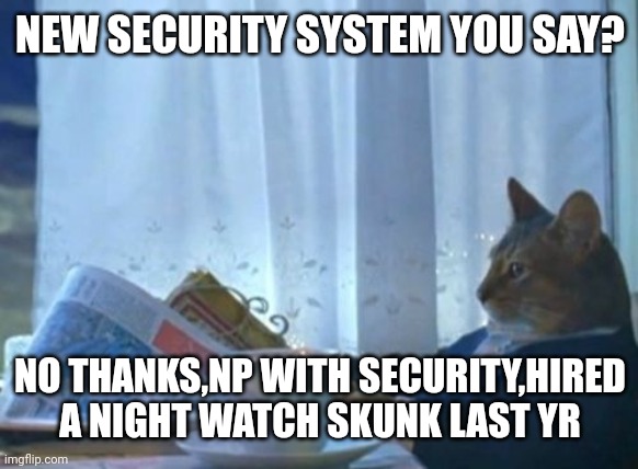 I Should Buy A Boat Cat | NEW SECURITY SYSTEM YOU SAY? NO THANKS,NP WITH SECURITY,HIRED A NIGHT WATCH SKUNK LAST YR | image tagged in memes,i should buy a boat cat,cat | made w/ Imgflip meme maker