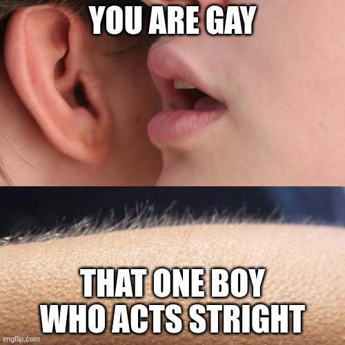 Whisper and Goosebumps | YOU ARE GAY; THAT ONE BOY WHO ACTS STRIGHT | image tagged in whisper and goosebumps | made w/ Imgflip meme maker