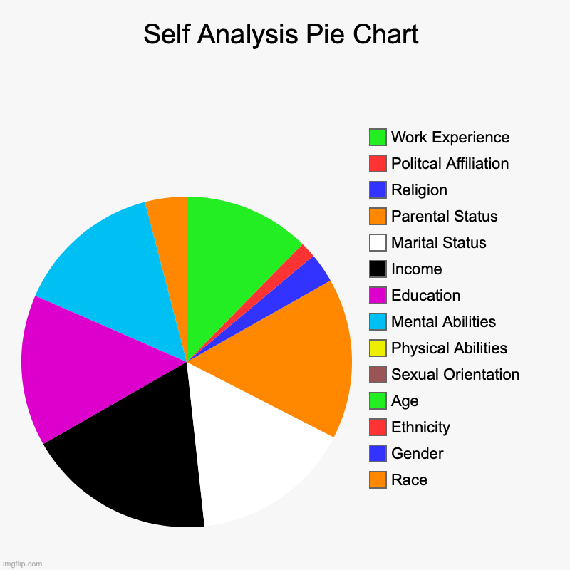 Self Analysis Pie Chart | Race, Gender, Ethnicity, Age, Sexual Orientation, Physical Abilities, Mental Abilities, Education, Income, Marital | image tagged in charts,pie charts | made w/ Imgflip chart maker
