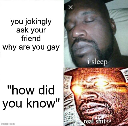 hold up | you jokingly ask your friend why are you gay; "how did you know" | image tagged in memes,sleeping shaq | made w/ Imgflip meme maker
